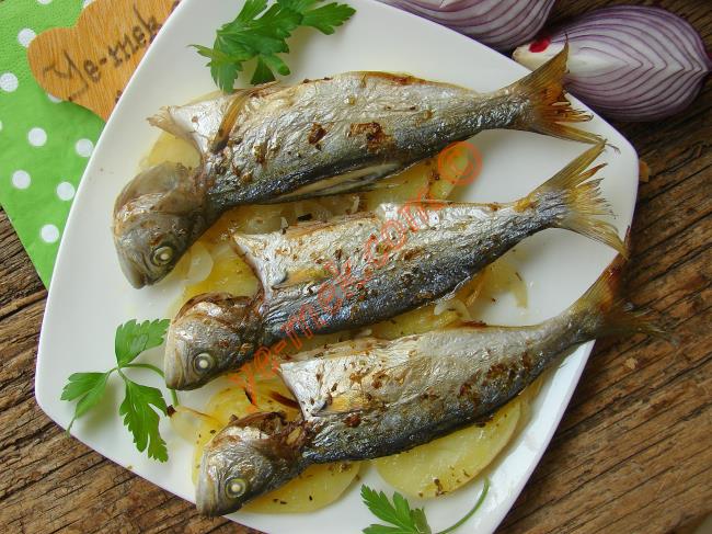 Çinekop